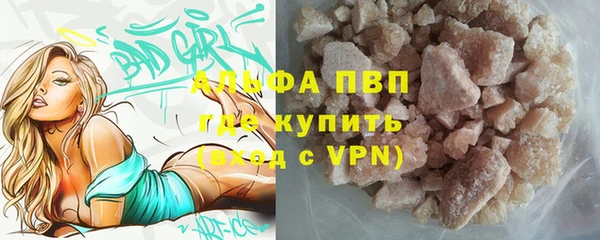 PSILOCYBIN Верхний Тагил